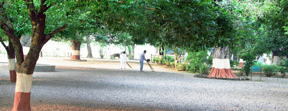 Rest Garden for visitors