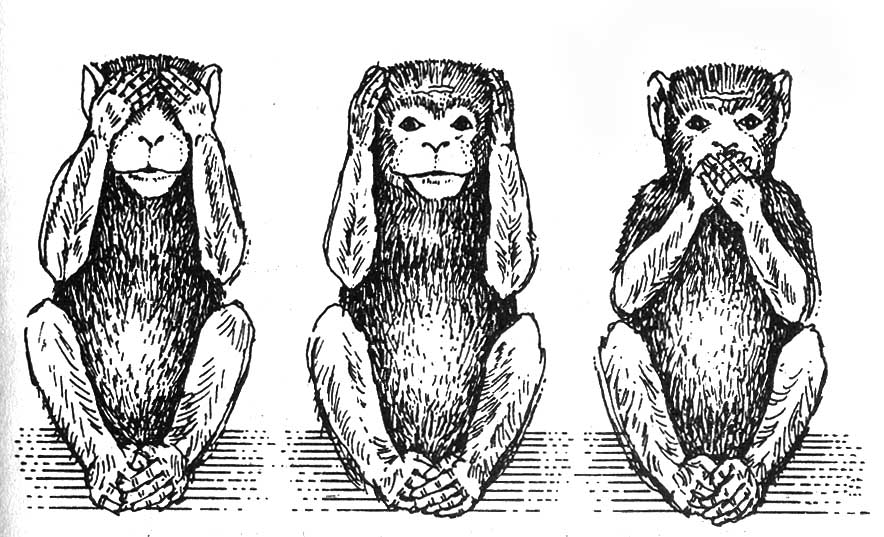 Three MOnkeys